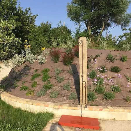 The Cherry House, Monterosa