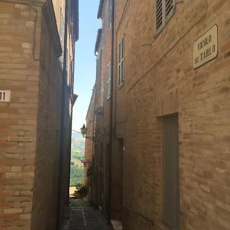 The Cherry House, Monterosa Appartement